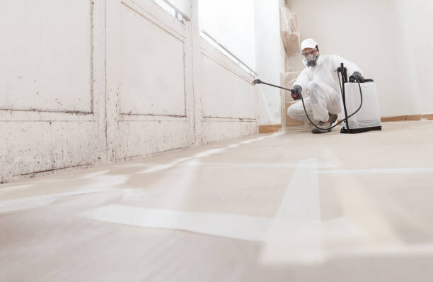 24/7 Emergency Mold Testing experts in Burgess, VA