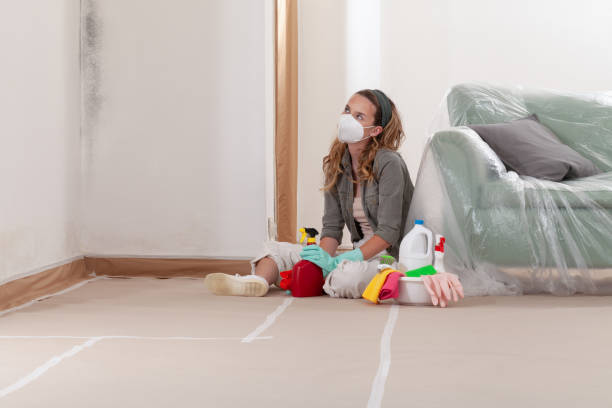 Reliable Mold Testing contractor in Burgess, VA by WQB Mold Removal