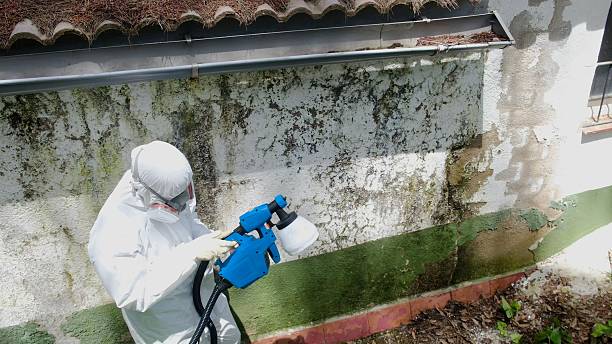 Top rated local Mold Testing specialists in Burgess, VA